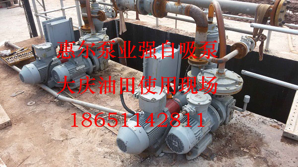 TZFB强自吸泵